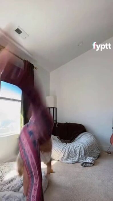 TikTok thot quickly showed her tits by doing cartwheel while wearing croptops